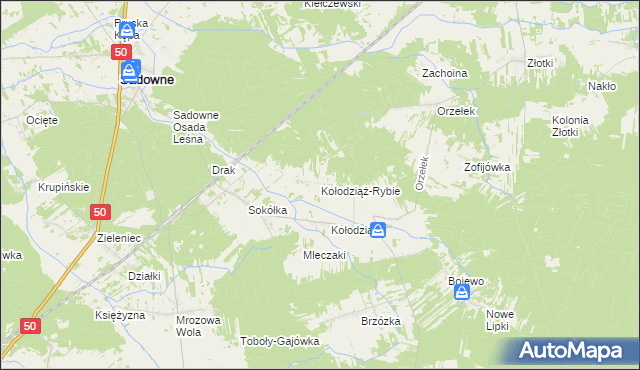 mapa Kołodziąż-Rybie, Kołodziąż-Rybie na mapie Targeo