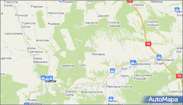 mapa Michałów gmina Bałtów, Michałów gmina Bałtów na mapie Targeo
