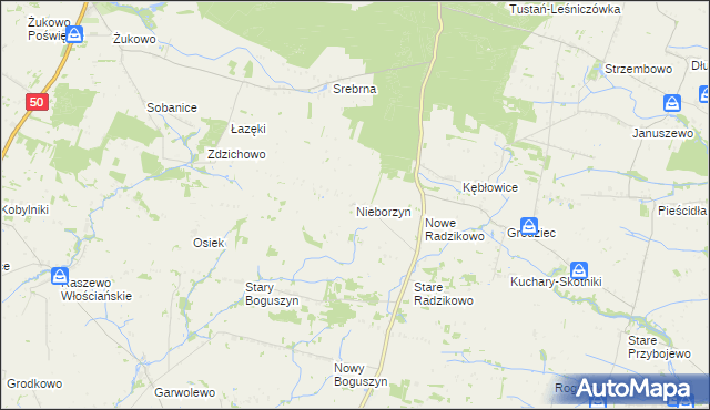 mapa Nieborzyn gmina Czerwińsk nad Wisłą, Nieborzyn gmina Czerwińsk nad Wisłą na mapie Targeo