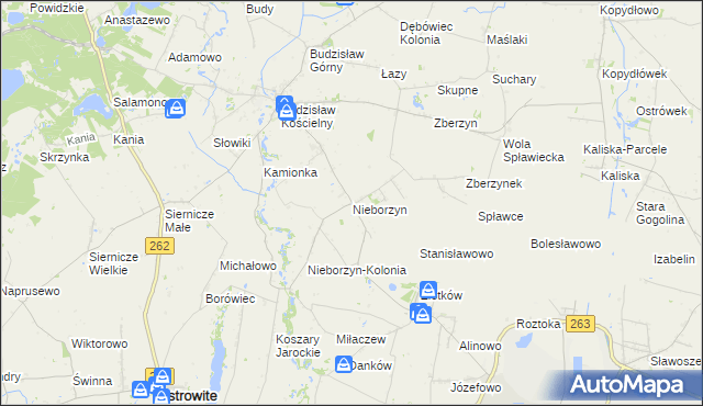 mapa Nieborzyn gmina Kleczew, Nieborzyn gmina Kleczew na mapie Targeo