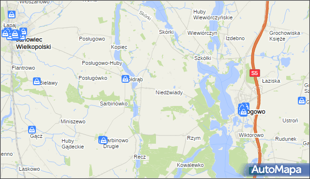 mapa Niedźwiady gmina Rogowo, Niedźwiady gmina Rogowo na mapie Targeo