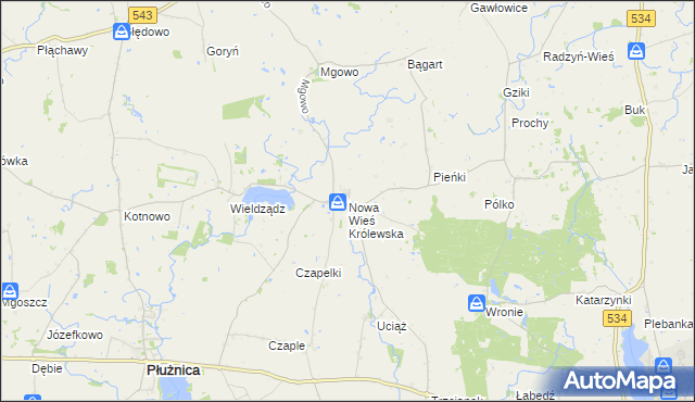 mapa Nowa Wieś Królewska gmina Płużnica, Nowa Wieś Królewska gmina Płużnica na mapie Targeo