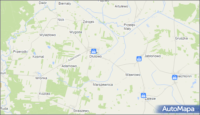 mapa Nowe Dłutowo, Nowe Dłutowo na mapie Targeo