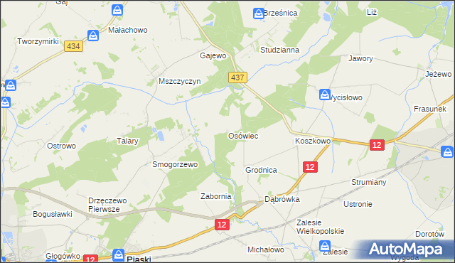 mapa Osówiec gmina Borek Wielkopolski, Osówiec gmina Borek Wielkopolski na mapie Targeo