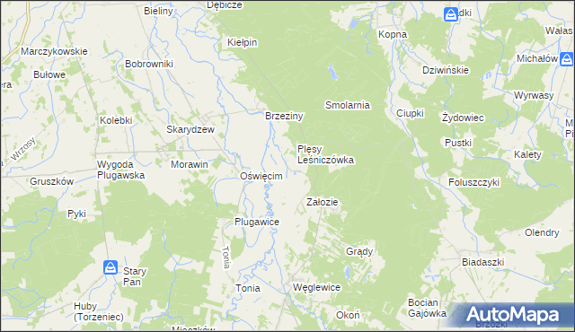 mapa Plęsy gmina Galewice, Plęsy gmina Galewice na mapie Targeo