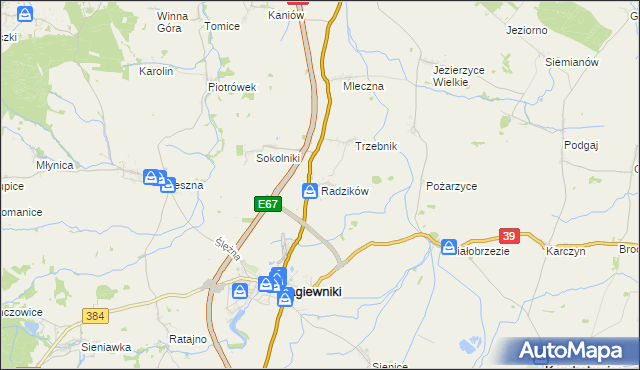 mapa Radzików gmina Łagiewniki, Radzików gmina Łagiewniki na mapie Targeo