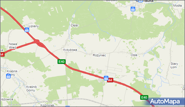 mapa Różyniec, Różyniec na mapie Targeo