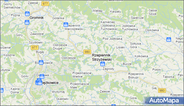 mapa Rzepiennik Strzyżewski, Rzepiennik Strzyżewski na mapie Targeo