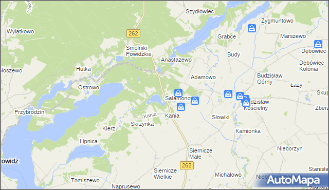 mapa Salamonowo, Salamonowo na mapie Targeo