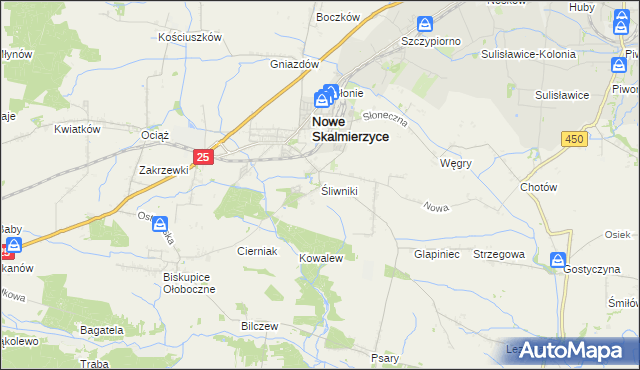 mapa Śliwniki gmina Nowe Skalmierzyce, Śliwniki gmina Nowe Skalmierzyce na mapie Targeo