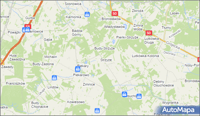 mapa Strzyże gmina Mszczonów, Strzyże gmina Mszczonów na mapie Targeo