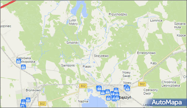 mapa Strzyżewo gmina Zbąszyń, Strzyżewo gmina Zbąszyń na mapie Targeo