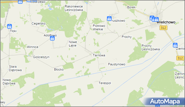 mapa Tarnowa gmina Rakoniewice, Tarnowa gmina Rakoniewice na mapie Targeo