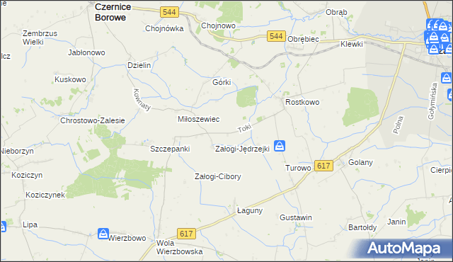 mapa Toki gmina Czernice Borowe, Toki gmina Czernice Borowe na mapie Targeo