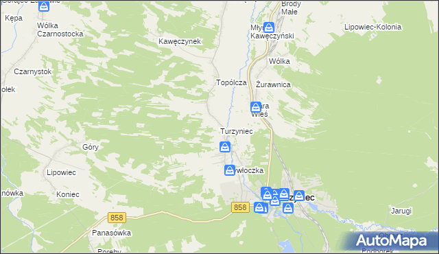 mapa Turzyniec gmina Zwierzyniec, Turzyniec gmina Zwierzyniec na mapie Targeo