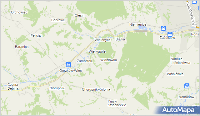 mapa Widniówka gmina Gorzków, Widniówka gmina Gorzków na mapie Targeo