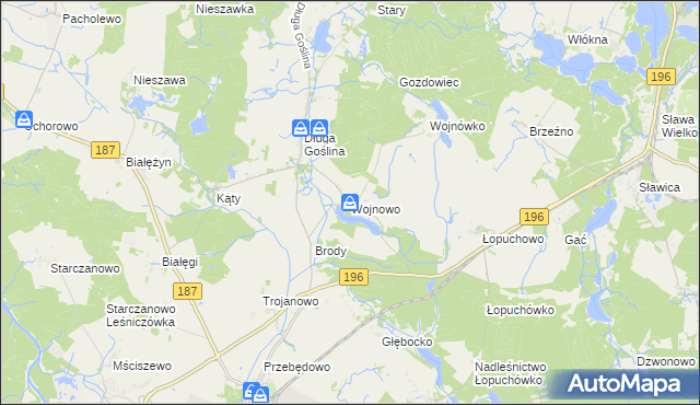 mapa Wojnowo gmina Murowana Goślina, Wojnowo gmina Murowana Goślina na mapie Targeo