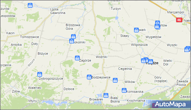 mapa Woźniki gmina Irządze, Woźniki gmina Irządze na mapie Targeo