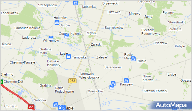 mapa Zalesie gmina Dąbie, Zalesie gmina Dąbie na mapie Targeo