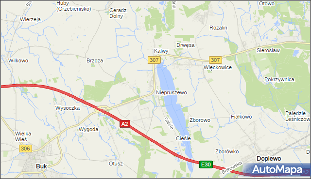 mapa Niepruszewo, Niepruszewo na mapie Targeo