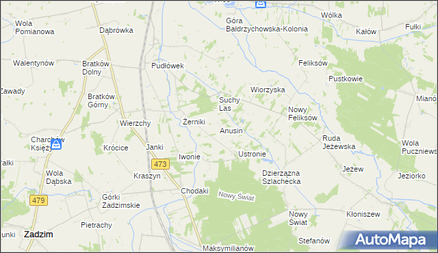 mapa Anusin gmina Zadzim, Anusin gmina Zadzim na mapie Targeo