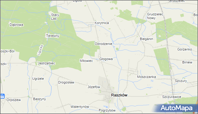 mapa Głogowa gmina Raszków, Głogowa gmina Raszków na mapie Targeo