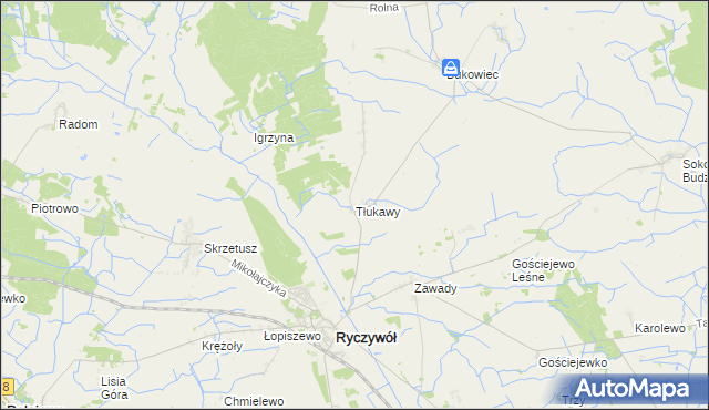 mapa Tłukawy, Tłukawy na mapie Targeo