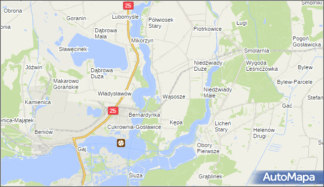 mapa Wąsosze gmina Ślesin, Wąsosze gmina Ślesin na mapie Targeo