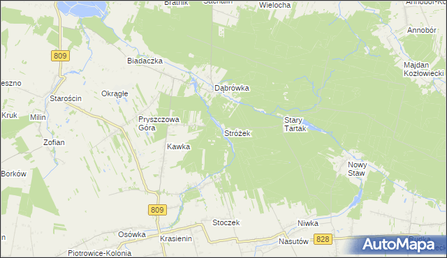 mapa Stróżek, Stróżek na mapie Targeo