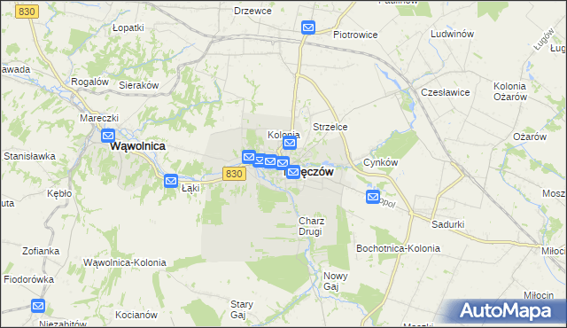 mapa Nałęczów powiat puławski, Nałęczów powiat puławski na mapie Targeo
