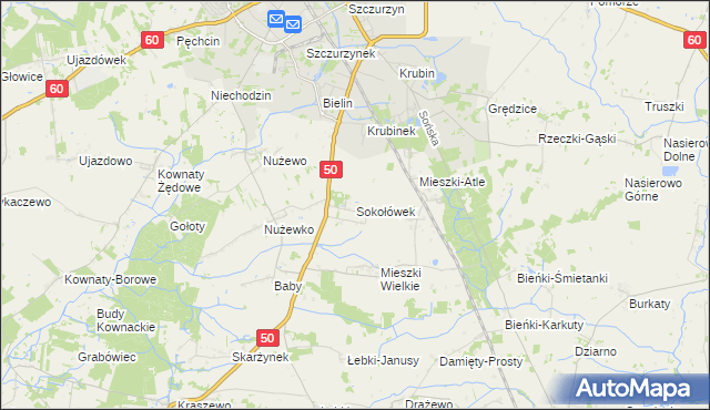 mapa Sokołówek gmina Ciechanów, Sokołówek gmina Ciechanów na mapie Targeo