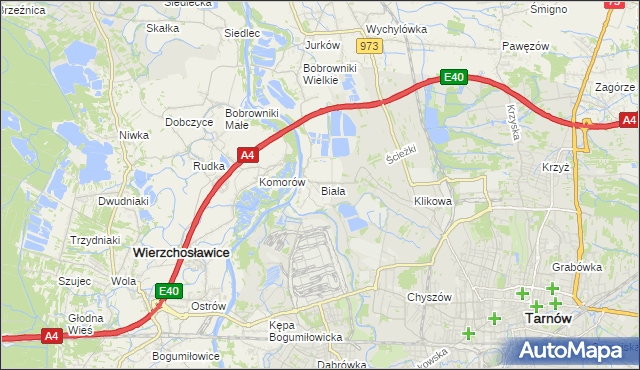 mapa Biała gmina Tarnów, Biała gmina Tarnów na mapie Targeo