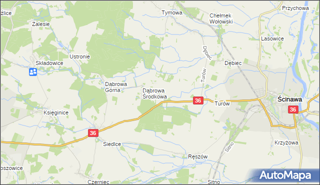 mapa Dąbrowa Dolna gmina Ścinawa, Dąbrowa Dolna gmina Ścinawa na mapie Targeo