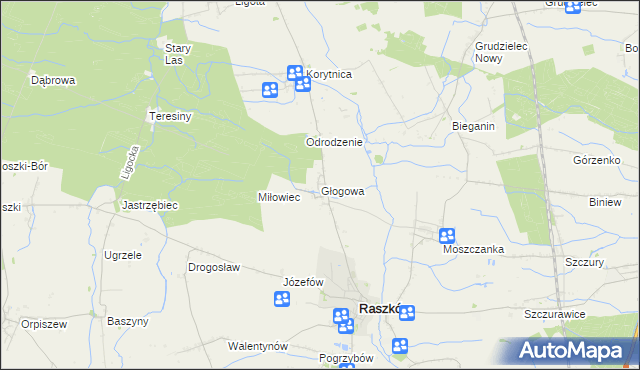 mapa Głogowa gmina Raszków, Głogowa gmina Raszków na mapie Targeo