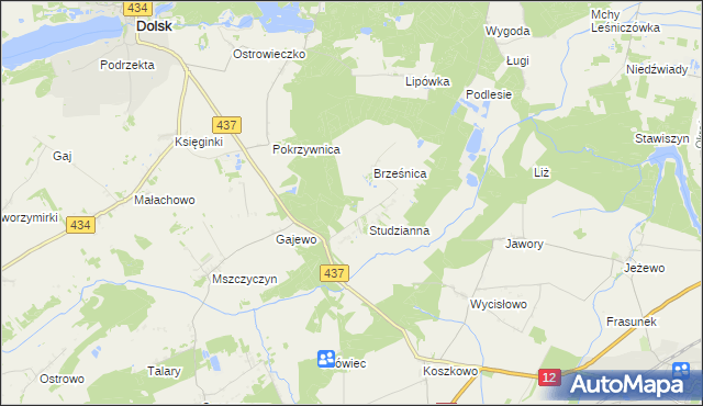 mapa Orliniec gmina Dolsk, Orliniec gmina Dolsk na mapie Targeo