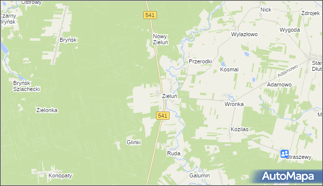 mapa Zieluń, Zieluń na mapie Targeo