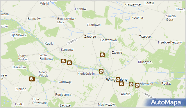 mapa Borecznica, Borecznica na mapie Targeo