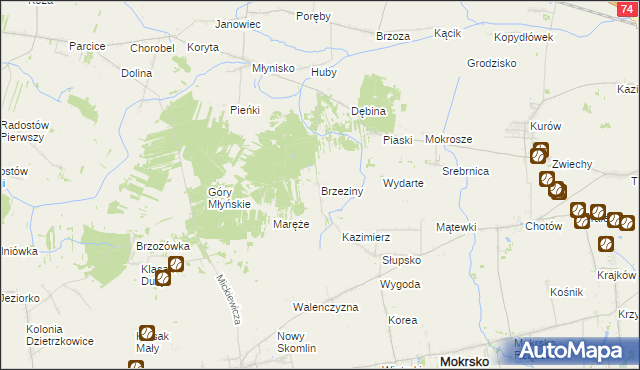 mapa Brzeziny gmina Skomlin, Brzeziny gmina Skomlin na mapie Targeo
