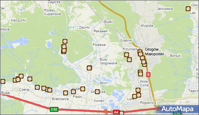 mapa Budy Głogowskie, Budy Głogowskie na mapie Targeo