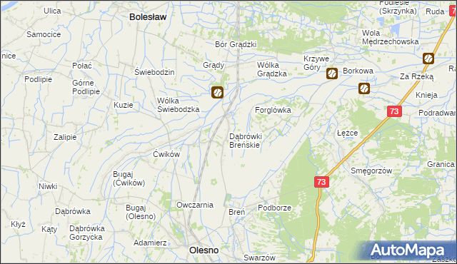 mapa Dąbrówki Breńskie, Dąbrówki Breńskie na mapie Targeo