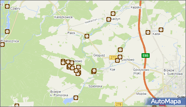 mapa Głogusz, Głogusz na mapie Targeo