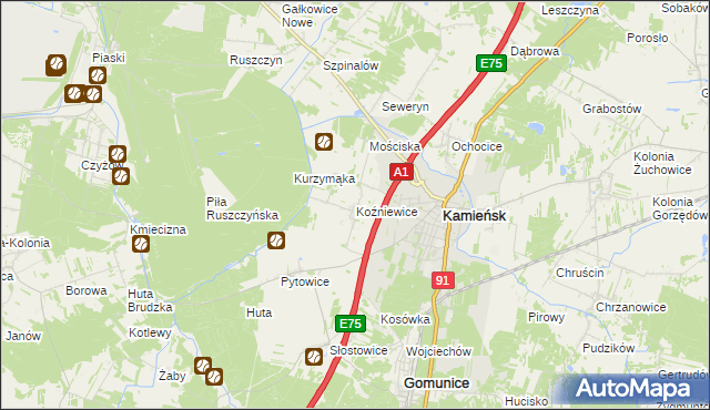 mapa Koźniewice, Koźniewice na mapie Targeo