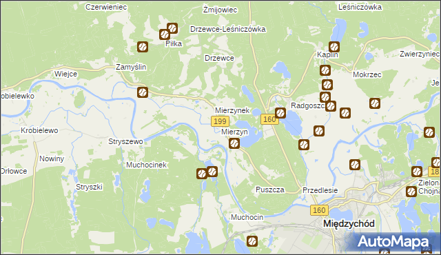 mapa Mierzyn gmina Międzychód, Mierzyn gmina Międzychód na mapie Targeo