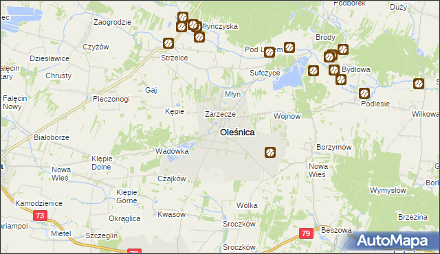 mapa Oleśnica powiat staszowski, Oleśnica powiat staszowski na mapie Targeo