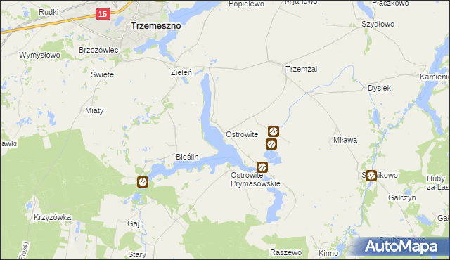 mapa Ostrowite gmina Trzemeszno, Ostrowite gmina Trzemeszno na mapie Targeo