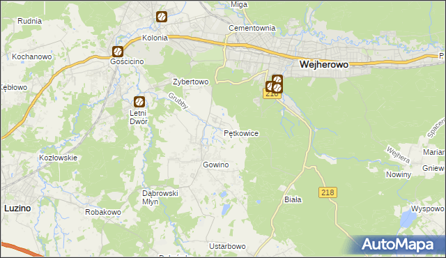 mapa Pętkowice gmina Wejherowo, Pętkowice gmina Wejherowo na mapie Targeo