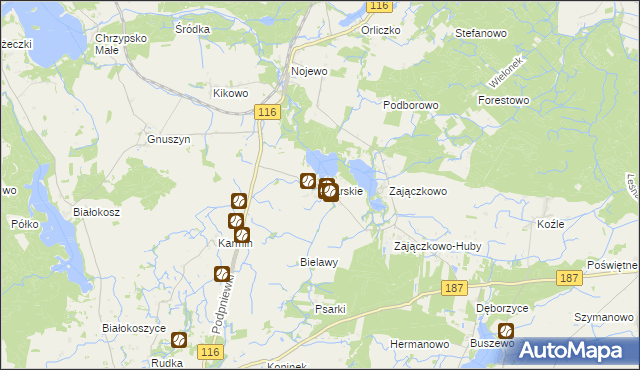 mapa Psarskie gmina Pniewy, Psarskie gmina Pniewy na mapie Targeo
