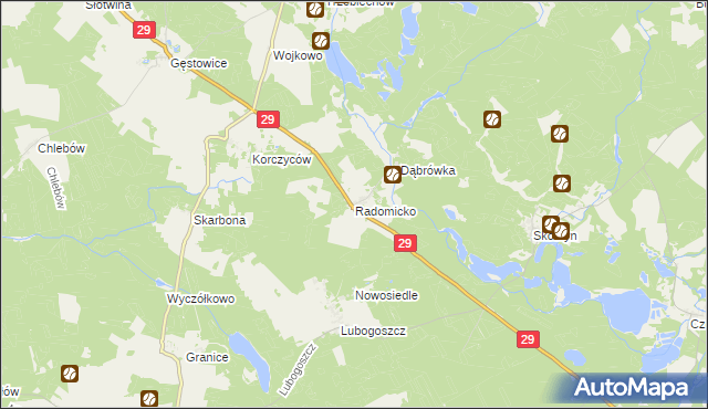 mapa Radomicko gmina Maszewo, Radomicko gmina Maszewo na mapie Targeo