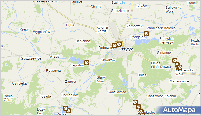 mapa Słowików gmina Przytyk, Słowików gmina Przytyk na mapie Targeo