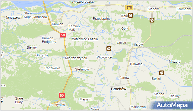 mapa Witkowice gmina Młodzieszyn, Witkowice gmina Młodzieszyn na mapie Targeo